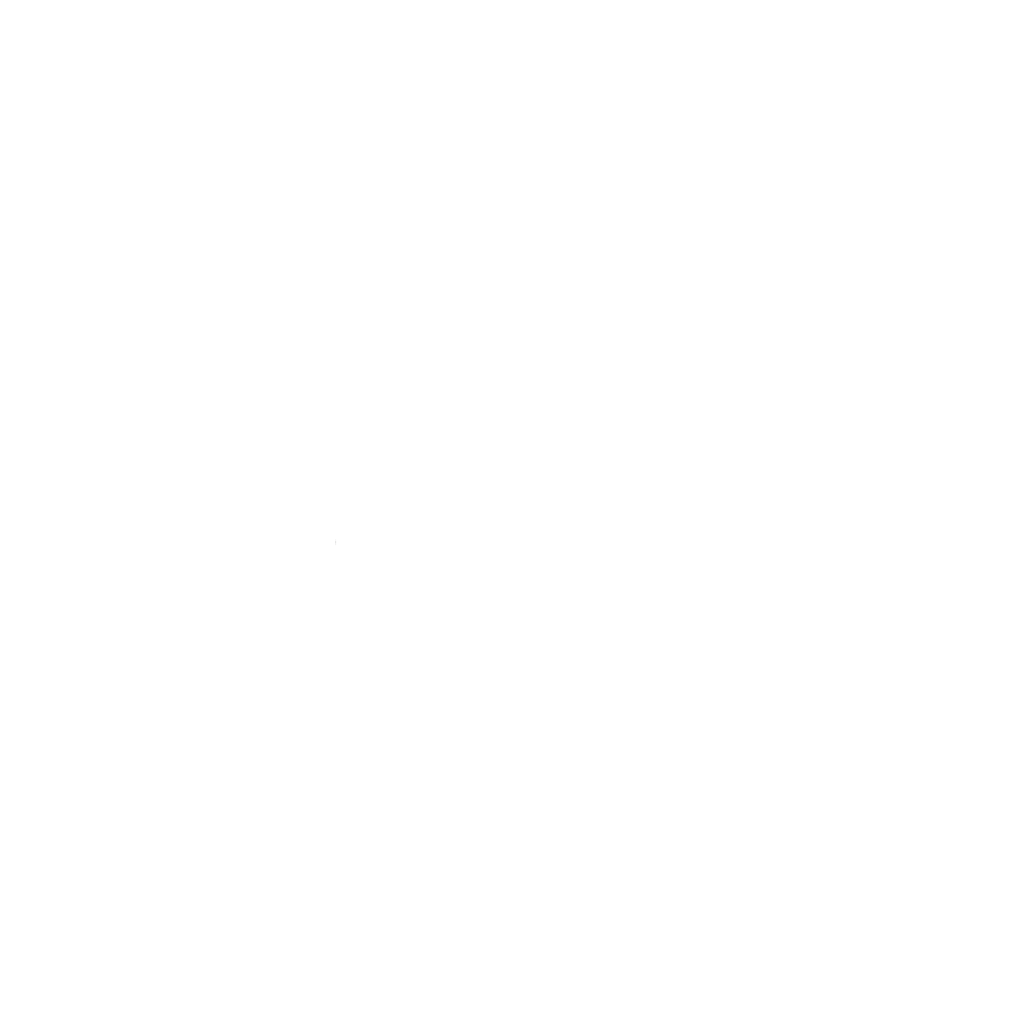 robust admin logo